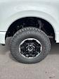 2025 Ford F-250 Crew Cab 4x4 Pickup for sale #T43150 - photo 14