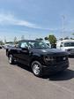 2025 Ford F-150 Regular Cab 4x2 Pickup for sale #T43152 - photo 1