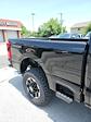 2025 Ford F-250 Crew Cab 4x4 Pickup for sale #T43156 - photo 14