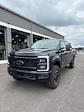 2025 Ford F-250 Crew Cab 4x4 Pickup for sale #T43161 - photo 1