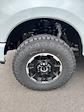 2025 Ford F-350 Crew Cab SRW 4x4 Pickup for sale #T43163 - photo 14