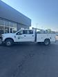 2019 Ford F-350 Crew Cab DRW 4x4 Mechanics Body for sale #T43169A - photo 5