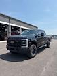 2025 Ford F-250 Crew Cab 4x4 Pickup for sale #T43173 - photo 3