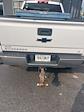 2016 Chevrolet Silverado 1500 Double Cab 4x4 Pickup for sale #T43225B - photo 2