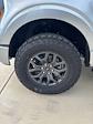 2025 Ford F-150 SuperCrew Cab 4x4 Pickup for sale #T43277 - photo 15