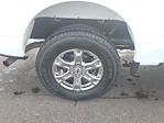 2023 Ford F-150 SuperCrew Cab 4WD Pickup for sale #T43320A - photo 6