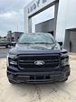 2025 Ford F-150 SuperCrew Cab 4WD Pickup for sale #T43338 - photo 5