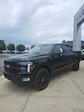2025 Ford F-150 SuperCrew Cab 4WD Pickup for sale #T43342 - photo 5