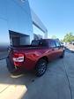 2025 Ford Maverick SuperCrew Cab FWD Pickup for sale #T43409 - photo 9