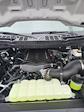 2025 Ford F-150 Regular Cab RWD Pickup for sale #T43434 - photo 24