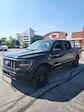 2025 Ford F-150 SuperCrew Cab 4WD Pickup for sale #T43504 - photo 4