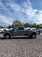2026 Ford F-450 Crew Cab DRW 4WD Pickup for sale #T43570 - photo 6