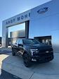 2025 Ford F-150 SuperCrew Cab 4WD Pickup for sale #T43592 - photo 9