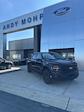 2025 Ford F-150 SuperCrew Cab 4WD Pickup for sale #T43610 - photo 31