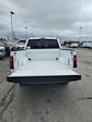 2025 Ford F-150 SuperCrew Cab 4WD Pickup for sale #T43653 - photo 14