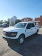 2025 Ford F-150 SuperCrew Cab 4WD Pickup for sale #T43655 - photo 4