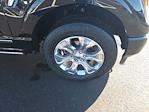 2023 Ford F-150 SuperCrew Cab 4WD Pickup for sale #T43683A - photo 3