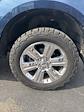 2018 Ford F-150 SuperCrew Cab 4WD Pickup for sale #T43701A - photo 8