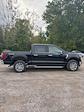 2025 Ford F-150 SuperCrew Cab 4WD Pickup for sale #T43703 - photo 5