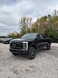 2026 Ford F-250 Crew Cab 4WD Pickup for sale #T43792 - photo 3