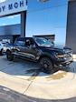 2025 Ford F-150 SuperCrew Cab 4WD Pickup for sale #T43804 - photo 1