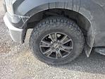 2016 Ford F-150 SuperCrew Cab 4WD Pickup for sale #T43848A - photo 12