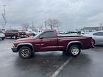 2002 Dodge Dakota RWD Pickup for sale #T43947B - photo 10