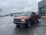 2002 Dodge Dakota RWD Pickup for sale #T43947B - photo 11