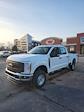 New 2026 Ford F-250 XL Crew Cab for sale #T44007 - photo 1
