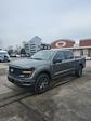 New 2025 Ford F-150 STX SuperCrew Cab for sale #T44104 - photo 1