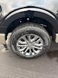 New 2025 Ford F-150 King Ranch SuperCrew Cab for sale #T44194 - photo 13