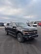 2025 Ford F-150 SuperCrew Cab 4WD Pickup for sale #T44198 - photo 38