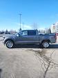 New 2026 Ford F-150 XLT SuperCrew Cab for sale #T44205 - photo 3