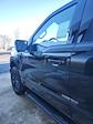 2026 Ford F-150 SuperCrew Cab 4WD Pickup for sale #T44338 - photo 19