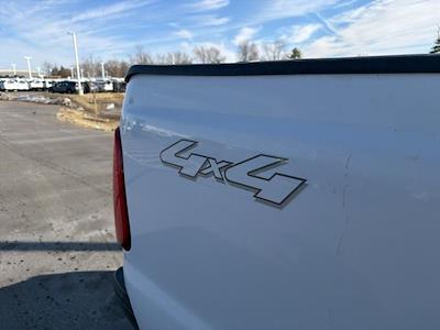 Used 2008 Ford F-250 - photo 1