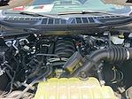 2024 Ford F-150 SuperCrew Cab 4x4 Pickup for sale #00224348 - photo 8