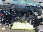 2025 Ford F-150 Regular Cab 4x2 Pickup for sale #00225143 - photo 31