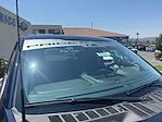 2025 Ford F-150 Regular Cab 4x2 Pickup for sale #00225223 - photo 5