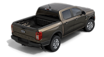 2025 Ford Ranger SuperCrew Cab 4x2 Pickup for sale #00225290 - photo 23