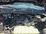 2025 Ford F-150 Regular Cab 4x4 Pickup for sale #00225373 - photo 10