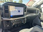 2025 Ford F-150 Regular Cab 4x4 Pickup for sale #00225373 - photo 14