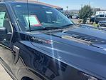 2025 Ford F-150 Regular Cab 4x4 Pickup for sale #00225395 - photo 3