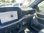 2025 Ford F-150 Regular Cab 4x4 Pickup for sale #00225395 - photo 15