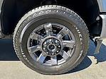 2024 Ford F-250 Crew Cab 4WD Pickup for sale #0224387B - photo 14