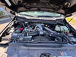 2024 Ford F-250 Crew Cab 4WD Pickup for sale #0224387B - photo 5
