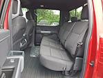 2025 Ford F-150 XLT for sale #25W0097FC - photo 8