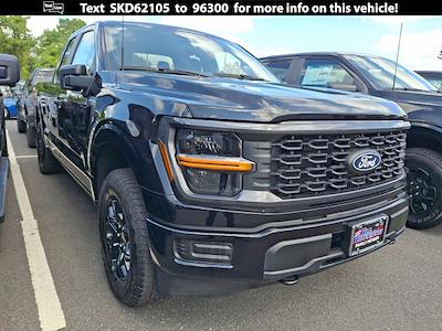 2025 Ford F-150 STX for sale #25W0144FC - photo 1