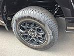 2025 Ford F-150 STX for sale #25W0144FC - photo 7