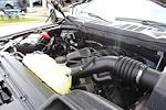 2025 Ford F-150 Shelby Edition for sale #25W0313 - photo 33