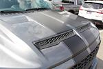 2025 Ford F-150 Shelby Edition for sale #25W0313 - photo 34